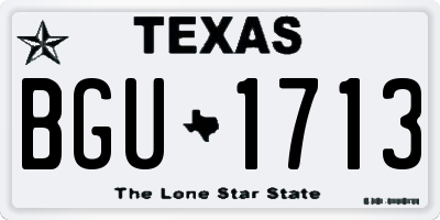 TX license plate BGU1713