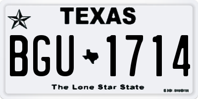 TX license plate BGU1714