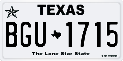 TX license plate BGU1715