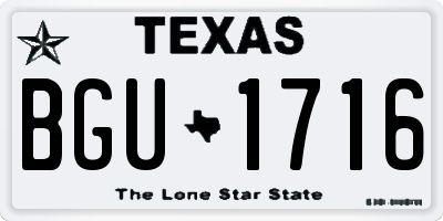 TX license plate BGU1716