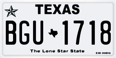 TX license plate BGU1718