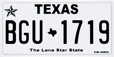 TX license plate BGU1719
