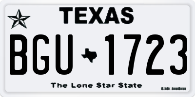 TX license plate BGU1723