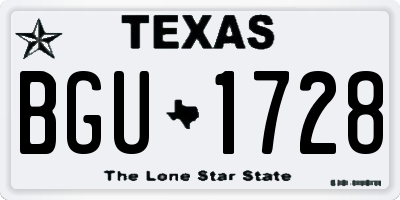 TX license plate BGU1728