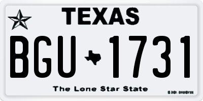 TX license plate BGU1731
