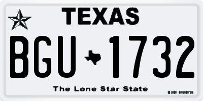TX license plate BGU1732