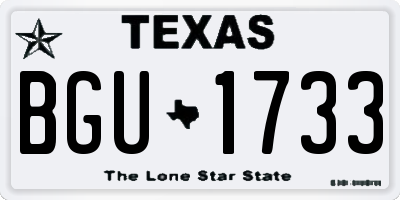 TX license plate BGU1733