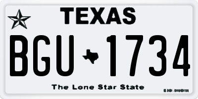TX license plate BGU1734