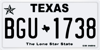 TX license plate BGU1738