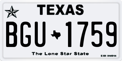 TX license plate BGU1759