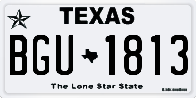 TX license plate BGU1813