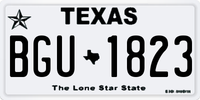 TX license plate BGU1823