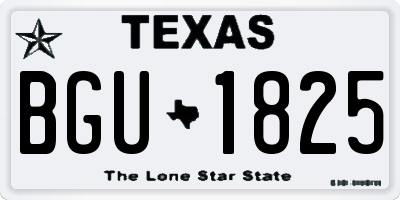 TX license plate BGU1825