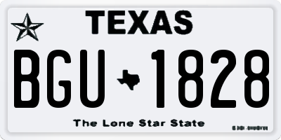 TX license plate BGU1828