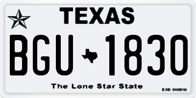 TX license plate BGU1830