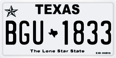 TX license plate BGU1833