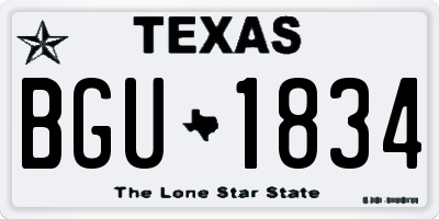 TX license plate BGU1834