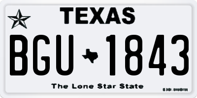 TX license plate BGU1843