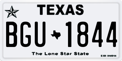 TX license plate BGU1844