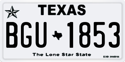 TX license plate BGU1853