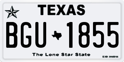 TX license plate BGU1855
