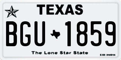 TX license plate BGU1859