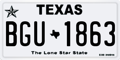 TX license plate BGU1863