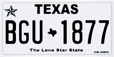 TX license plate BGU1877