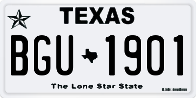 TX license plate BGU1901