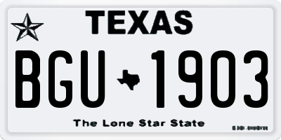 TX license plate BGU1903