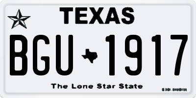 TX license plate BGU1917