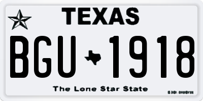 TX license plate BGU1918