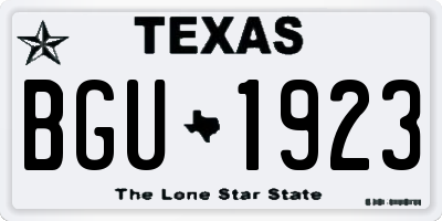 TX license plate BGU1923
