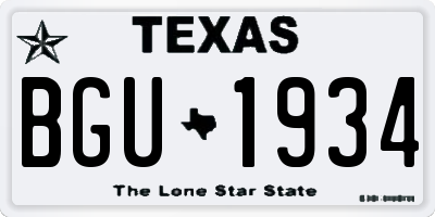 TX license plate BGU1934