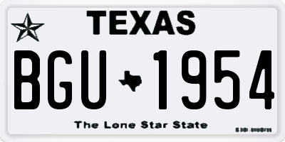 TX license plate BGU1954