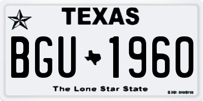 TX license plate BGU1960