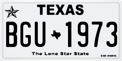 TX license plate BGU1973