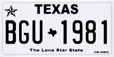 TX license plate BGU1981