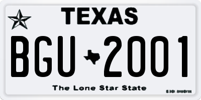 TX license plate BGU2001