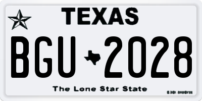 TX license plate BGU2028