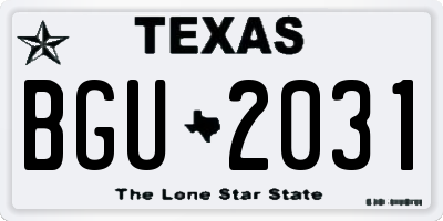 TX license plate BGU2031