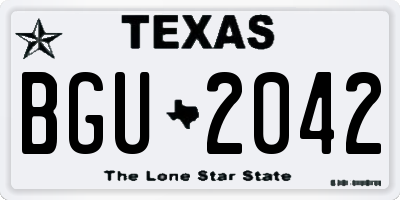 TX license plate BGU2042