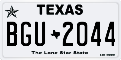 TX license plate BGU2044