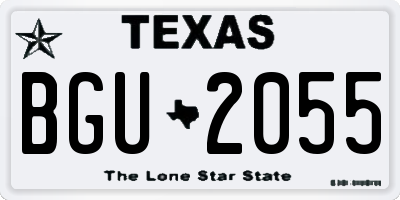 TX license plate BGU2055