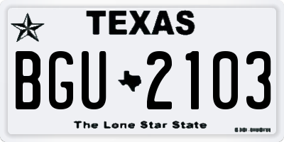 TX license plate BGU2103