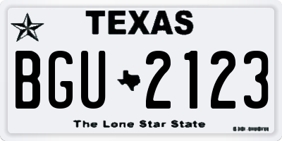 TX license plate BGU2123