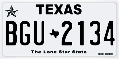 TX license plate BGU2134