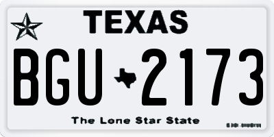 TX license plate BGU2173