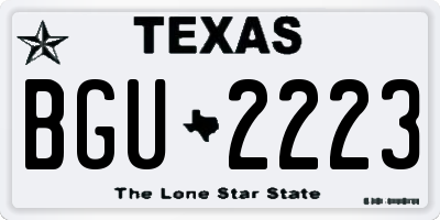 TX license plate BGU2223