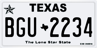 TX license plate BGU2234